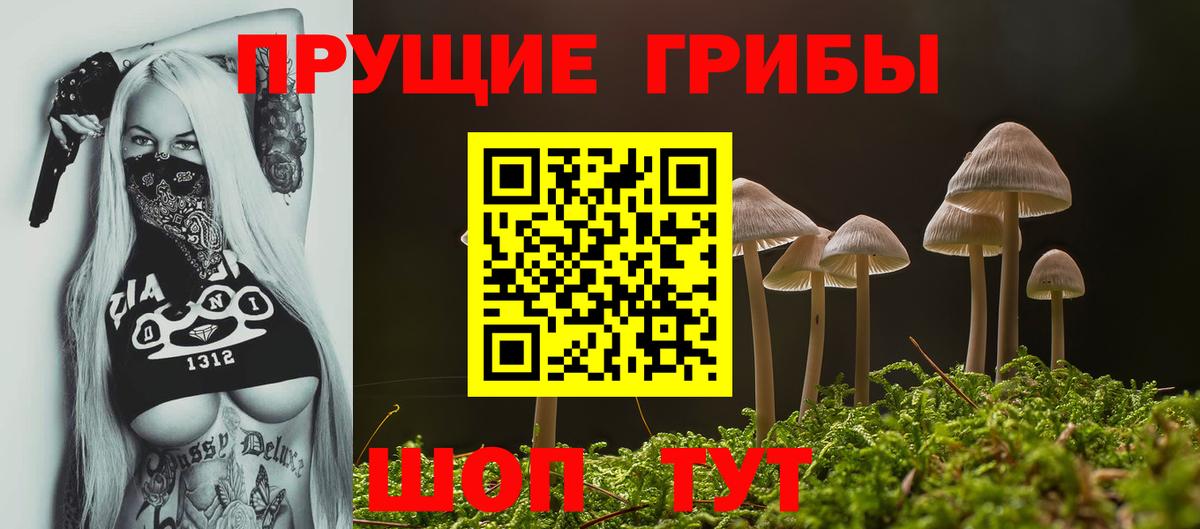 Псилоцибиновые грибы Psilocybine cubensis Чайковский