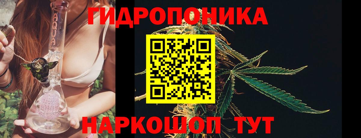 Марихуана ГИДРОПОН  Каннабис семена  Чайковский  Вход с VPN 